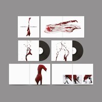 Manic Street Preachers - Lifeblood 20 vinyl cover