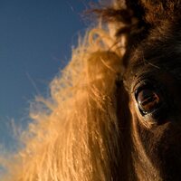 Mannequin Pussy - I Got Heaven D2C Summer Sky Splash vinyl cover