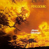 Manu Dibango - Africadelic vinyl cover