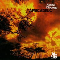 Manu Dibango - Africadelic vinyl cover