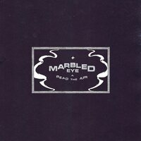 Marbled Eye - Read the Air vinyl cover