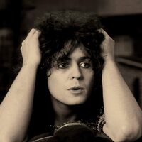 Marc Bolan - Babe Shadow vinyl cover