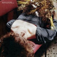 Maria Jaume - Fins A Maig No Revisc vinyl cover
