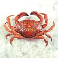 Mariachi El Bronx - Mariachi El Bronx 10 Year Anniversary Edition  Transparent Smoke vinyl cover