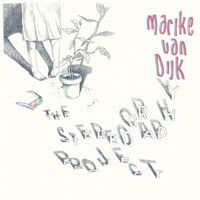 Marike / Taylor, Jeff / Keineg, Katell Van Dijk - Stereography Project vinyl cover