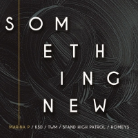 Marina P - Something New vinyl cover