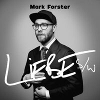 Mark Forster - Liebe vinyl cover