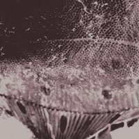 Mark Ijzerman - Flounder Maps vinyl cover