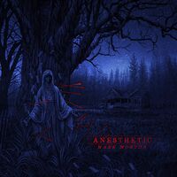 Mark Morton - Anesthetic vinyl cover