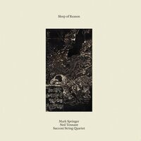 Mark Springer & Neil Tennant & Sacconi String - Sleep of Reason vinyl cover