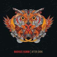 Markus Homm - After Dark vinyl cover