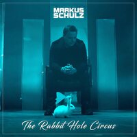 Markus Schulz - The Rabbit Hole Circus vinyl cover