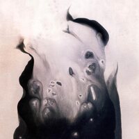 Marla Hansen - Salt vinyl cover