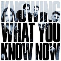 Marmozets - Knowing What You Know Now vinyl cover