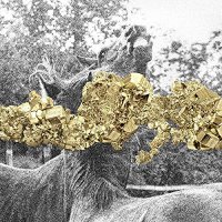 Martin Guerra - Temporada De Pesca vinyl cover