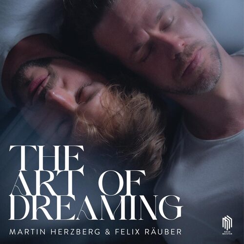 Martin Herzberg - Herzberg & Rauber: The Art of Dreaming vinyl cover