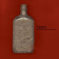 Martin Medeski & Wood - Tonic (Blue Note Classic Edition) vinyl cover