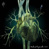 Martin Rubashov - Members Of The Green Phlox vinyl cover