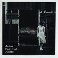 Martina Topley-Bird - Quixotic (Expanded Edition) vinyl cover