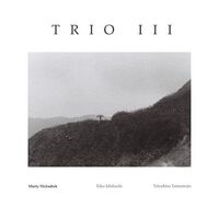 Marty Holoubek - Trio III