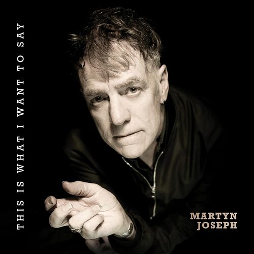 Martyn Joseph - This Is What I Want to Say vinyl cover