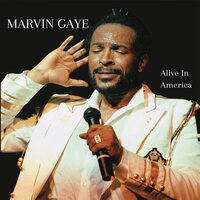 Marvin Gaye - Alive in America vinyl cover