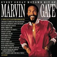 Marvin Gaye - Every Great Motown Hit Of Marvin Gaye: 15 Spectacular Performances vinyl cover
