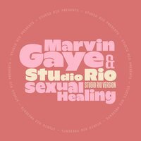 Marvin Gaye - Sexual Healing vinyl cover