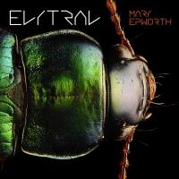 Mary Epworth - Elytral vinyl cover