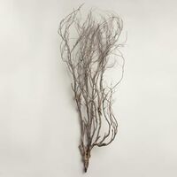 Mary Jane Leach - Woodwind Multiples vinyl cover