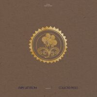 Mary Lattimore - Collected Pieces: 2015-2020 vinyl cover
