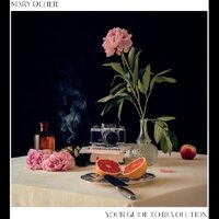 Mary Ocher - Your Guide To Revolution vinyl cover