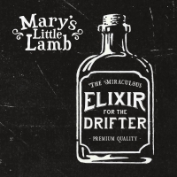Mary's Little Lamb - Elixir For The Drifter vinyl cover