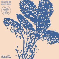 Masahiro Sugaya - The Pocket Of Fever vinyl cover