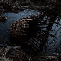 Massimo Silverio - Surtum vinyl cover