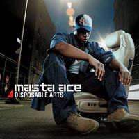 Masta Ace - Disposable Arts vinyl cover