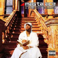Masta Ace - Long Hot Summer vinyl cover