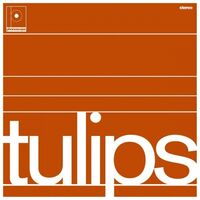 Maston - Tulips vinyl cover