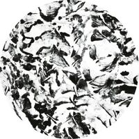 Mathimidori - Anata