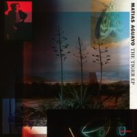 Matias Aguayo - Tiger vinyl cover
