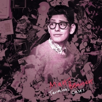 Matt Bennett - Terminal Cases vinyl cover