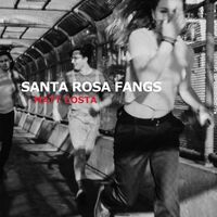 Matt Costa - Santa Rosa Fangs vinyl cover