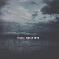 Matt Elliott - Calm Before vinyl cover
