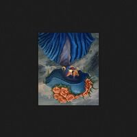 Matt Holubowski - Like Flowers On A Molten Lawn vinyl cover