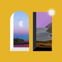 Matt Holubowski - Weird Ones vinyl cover