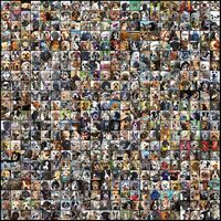 Matt Mays - Dog City vinyl cover