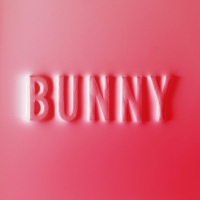 Matthew Dear - Bunny vinyl cover