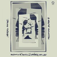 Matthew E. White - Broken Mirror: A Selfie Reflection vinyl cover