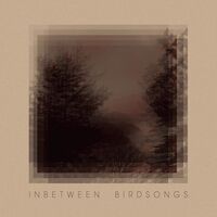 Matthias Gusset - Inbetween Birdsongs vinyl cover