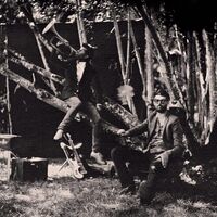 Matthis / Coltman Pascaud - Night Trippin vinyl cover